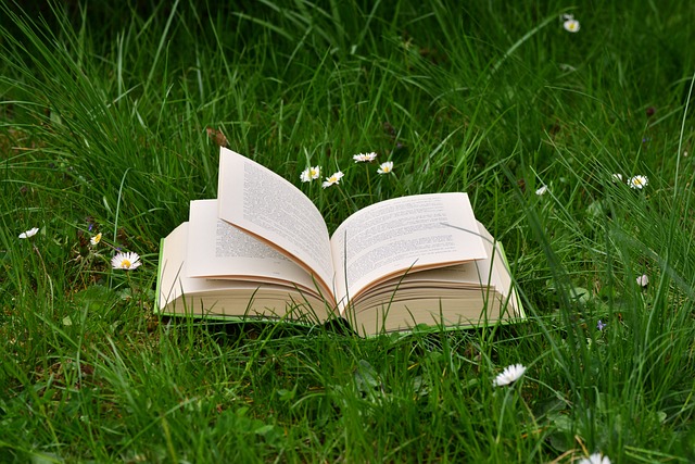 Photo of an open book sat upon grass.